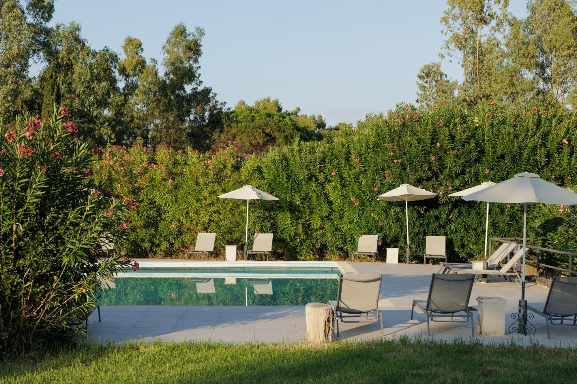 Nafsika Hotel - Adults Only Dassia  Extérieur photo